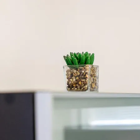 Διαμέρισμα Lucija